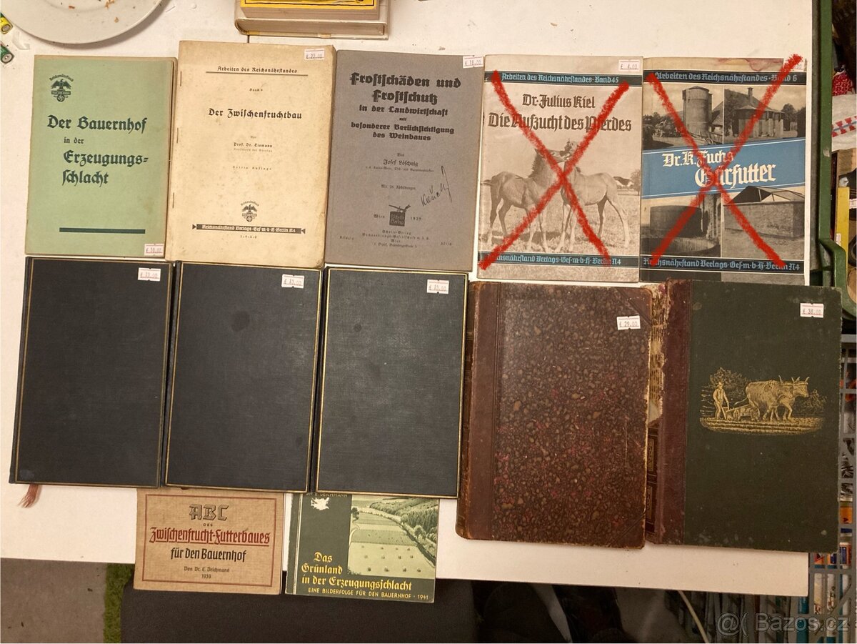 Cizojazyčna literatúra - 4