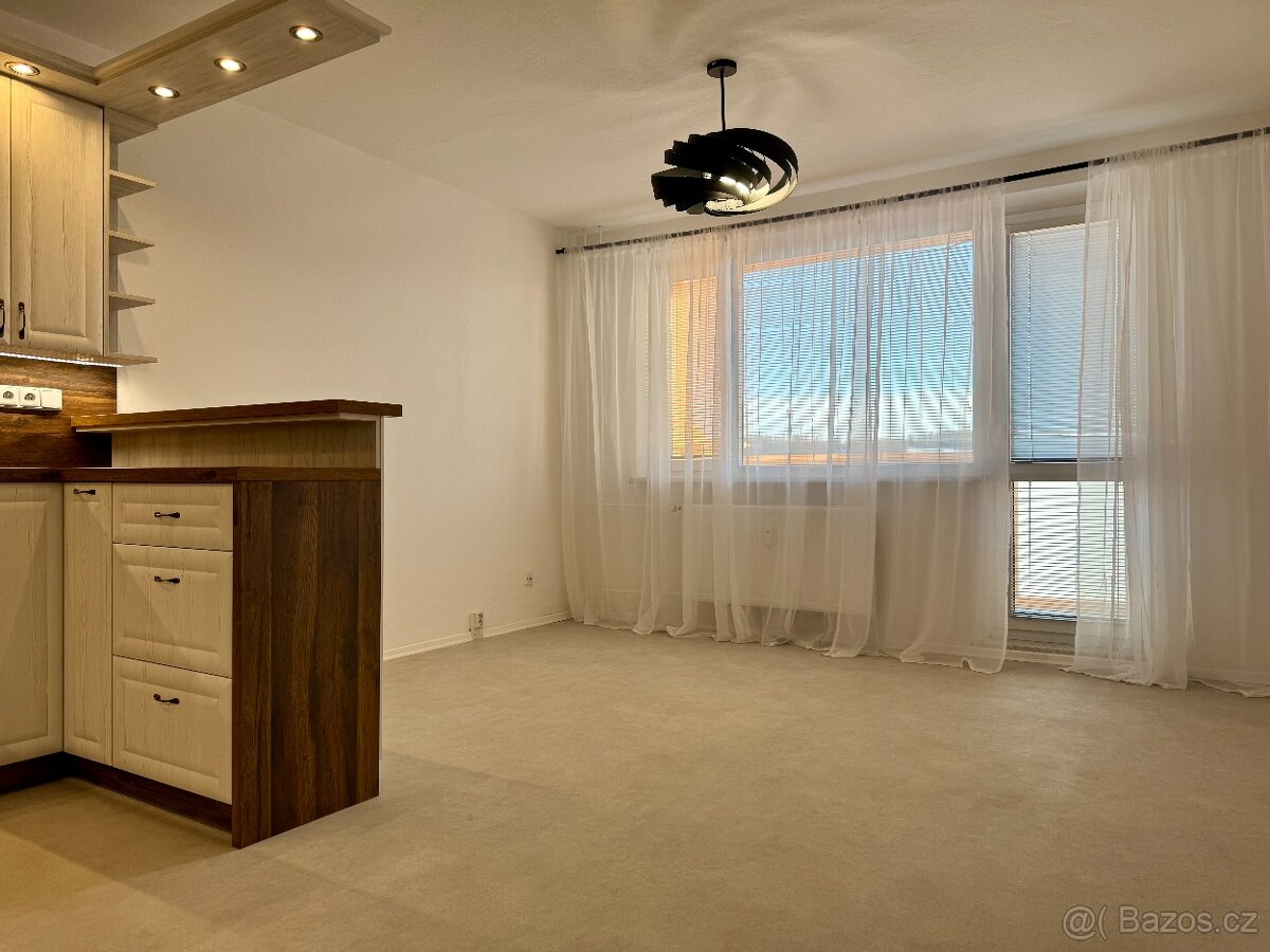 Pronájem 1+kk 30m2 - 4