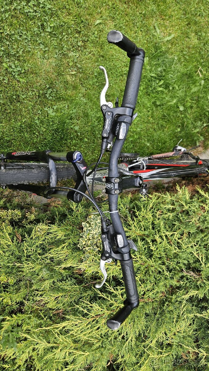 Kellys spider - 4