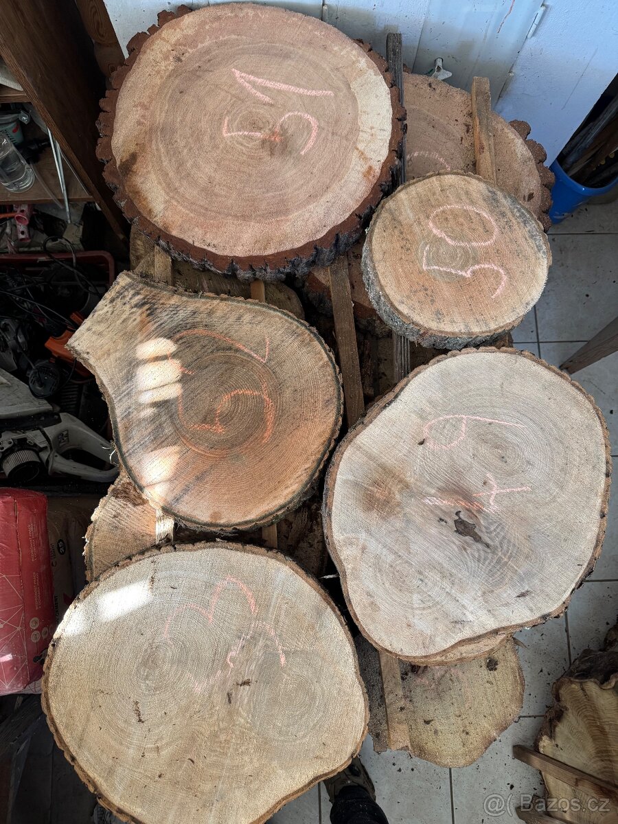 Akátové / jasanové Koláče , příčné rezy - 4