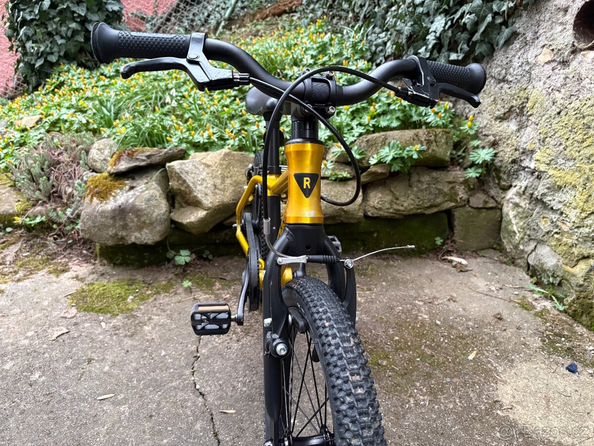 Kolo Rascal 16 Zlaté - 4