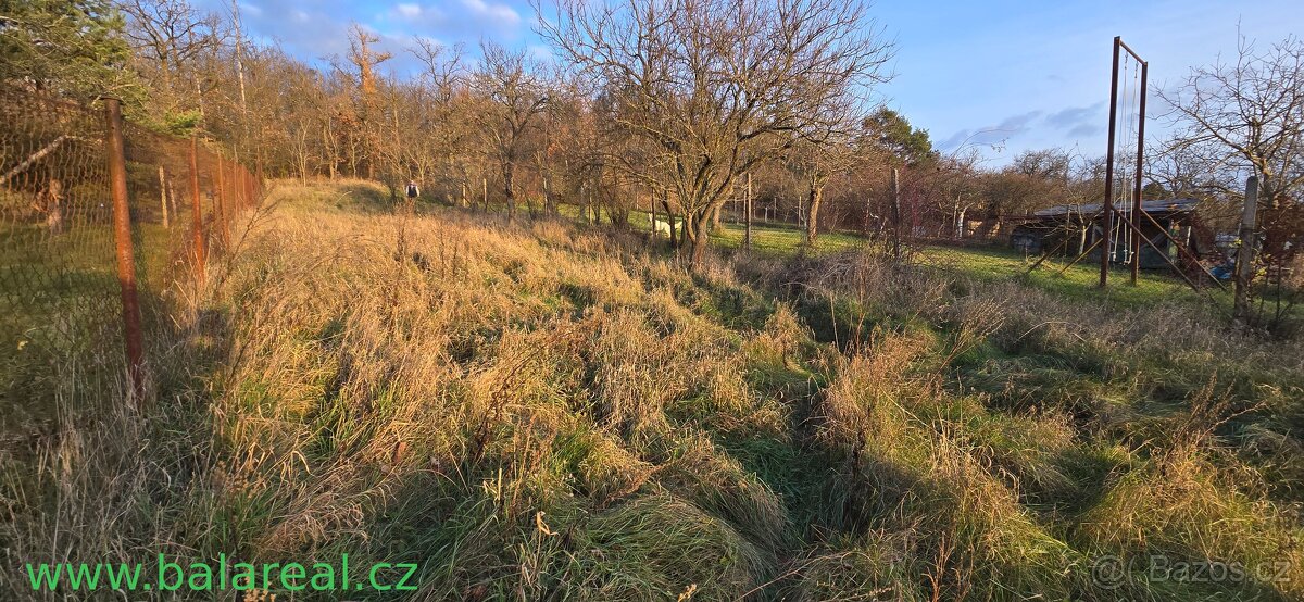zahrada Řečkovice 1359 m2 - 4