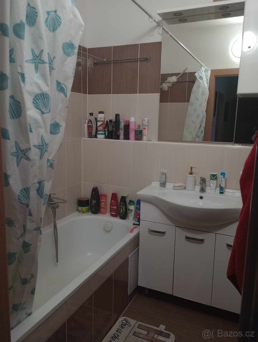 Pronajen Opava kylesovice - 4