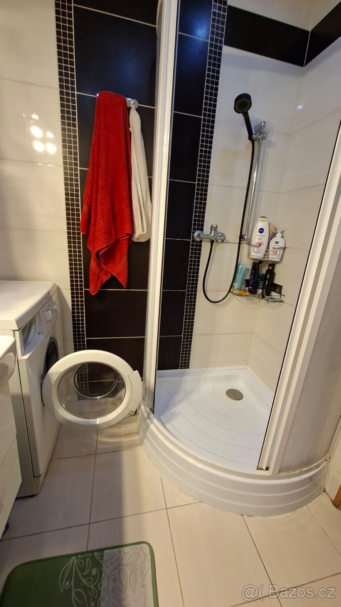 Pronájem bytu 2+1 Hodonín - 4