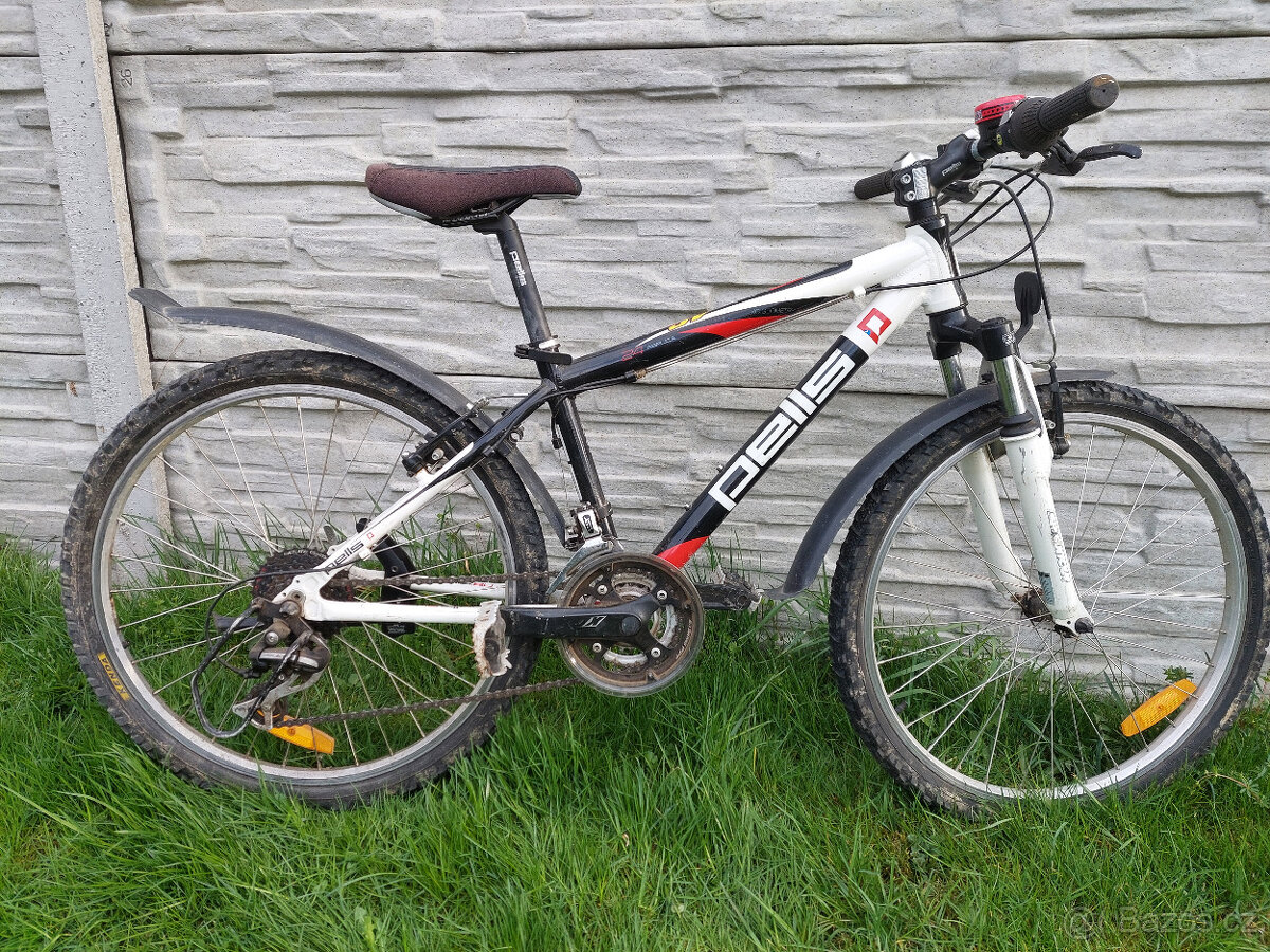 Pell's Razzer Team Replica 24 - 4