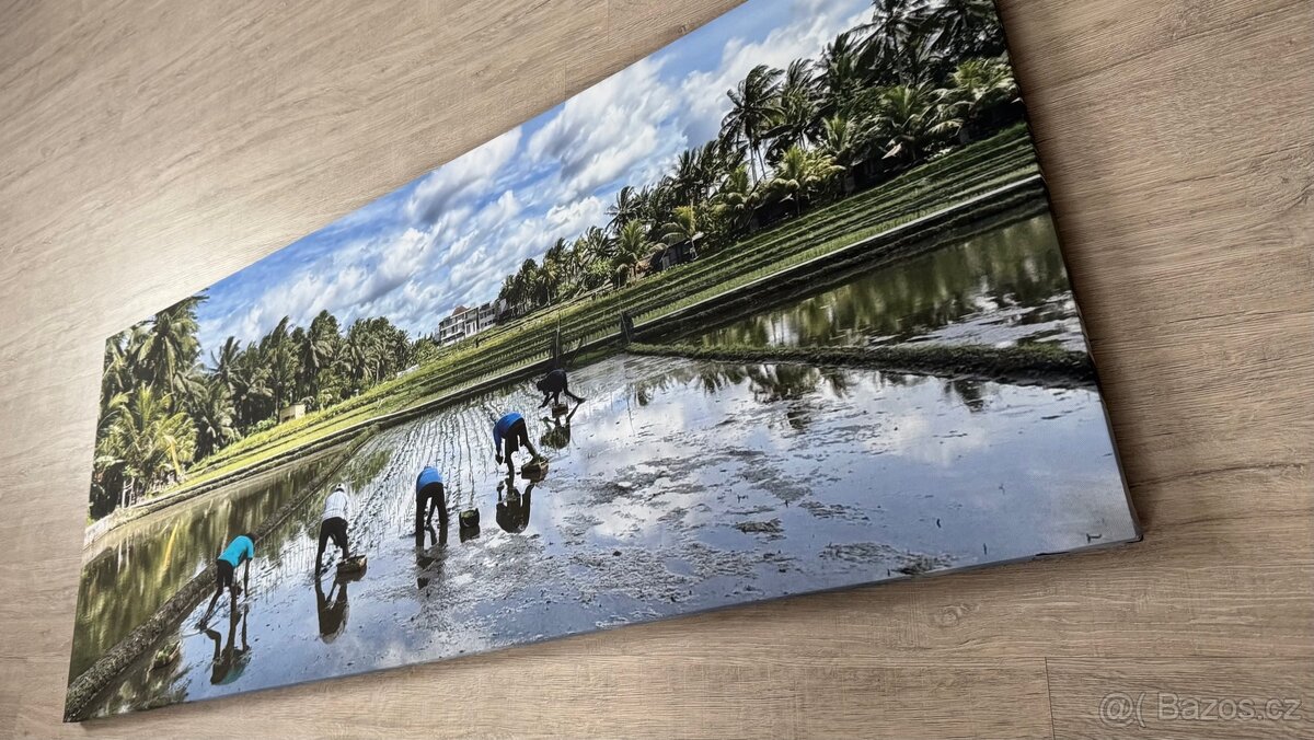 Obraz 120x50cm - 4