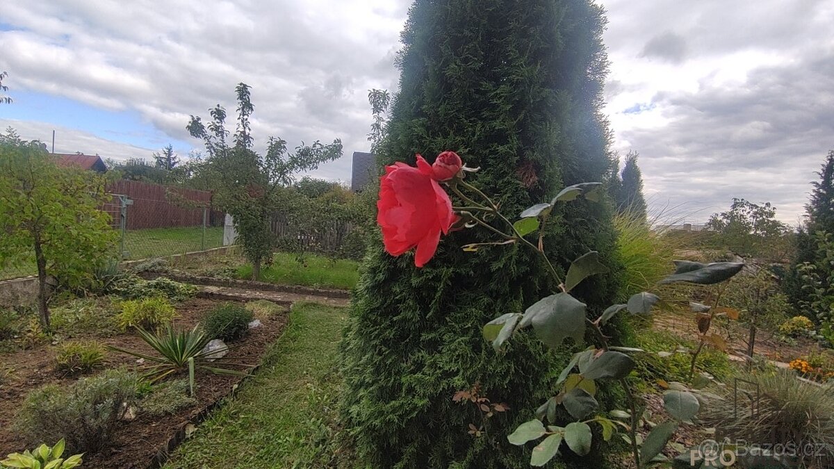 Prodej chaty , Třebíč - 4