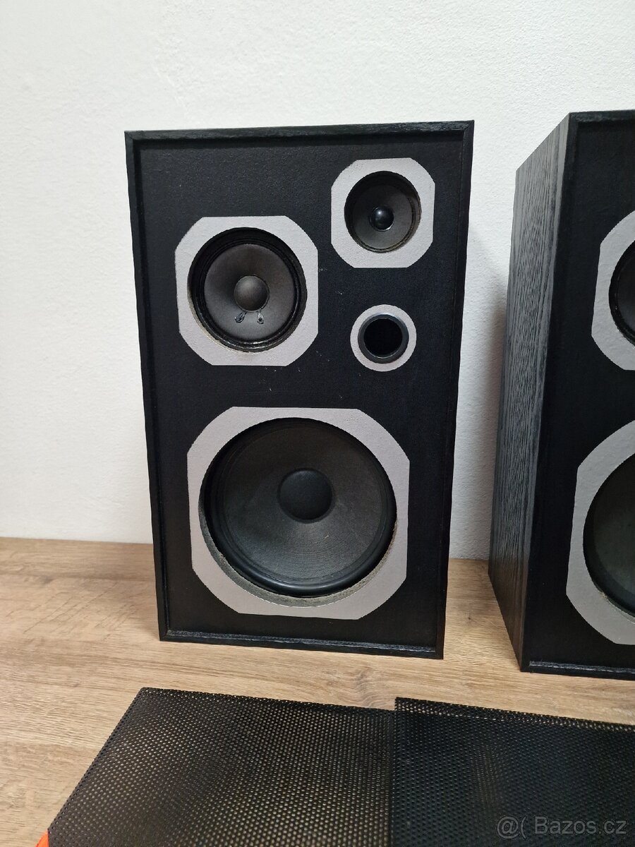 Reprobedny Pioneer - 4