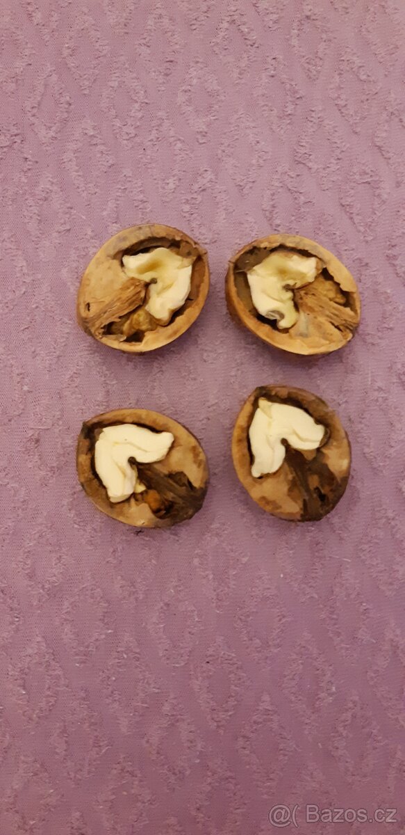 VLAŠSKÉ OŘECHY. - 4