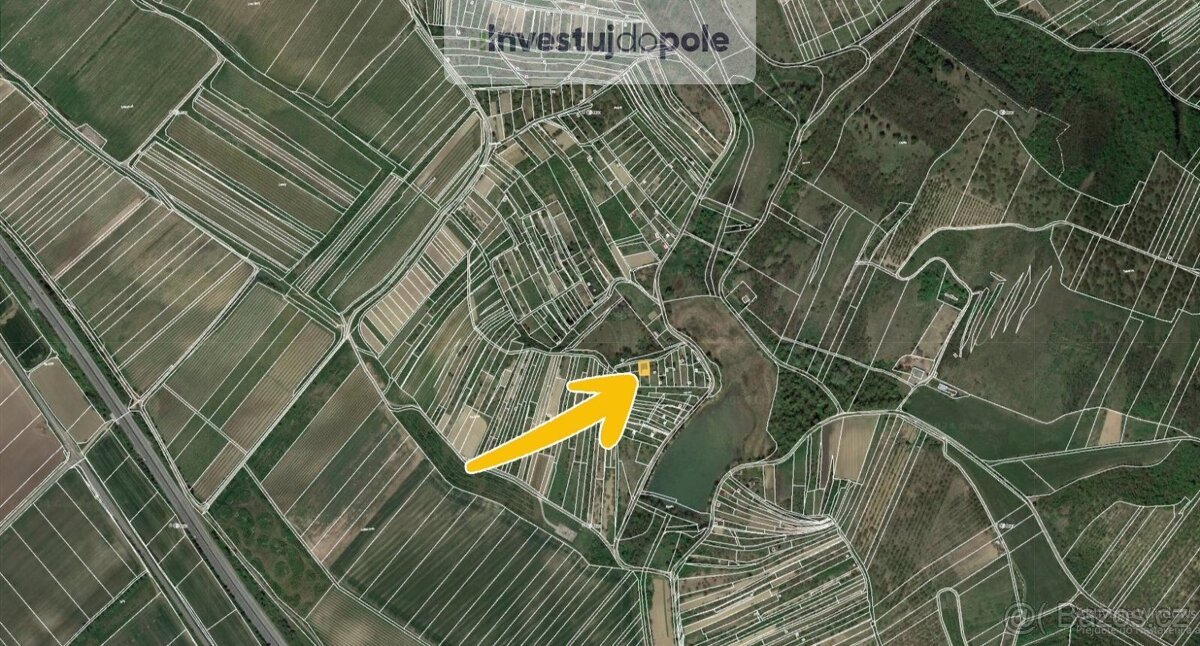 Prodej podílu 1/6 pole 2 413 m², Hustopeče - 4