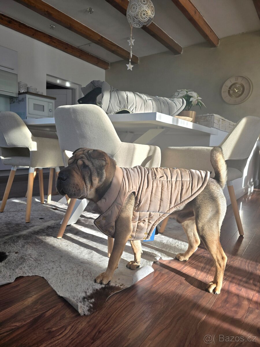 Nové zimní vesty - 4