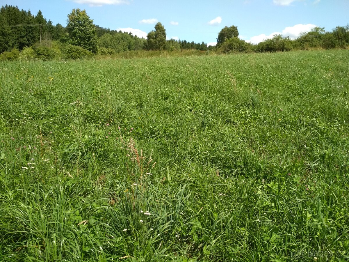 Prodám bio seno - 4