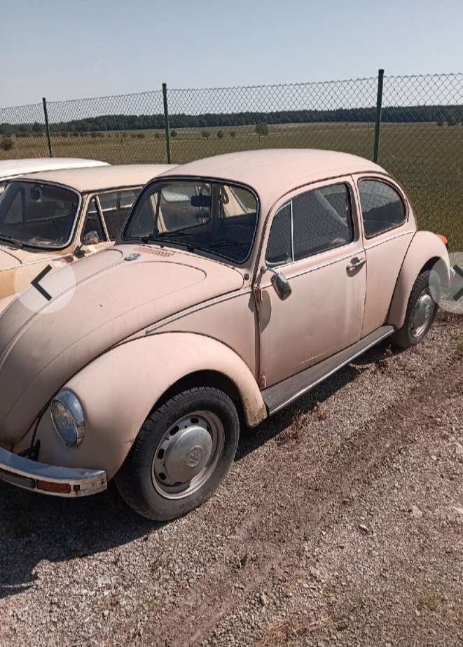 VW Brouk - 4