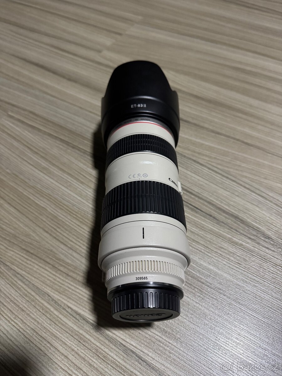 Canon EF 70-200 mm f/2,8 L - 4