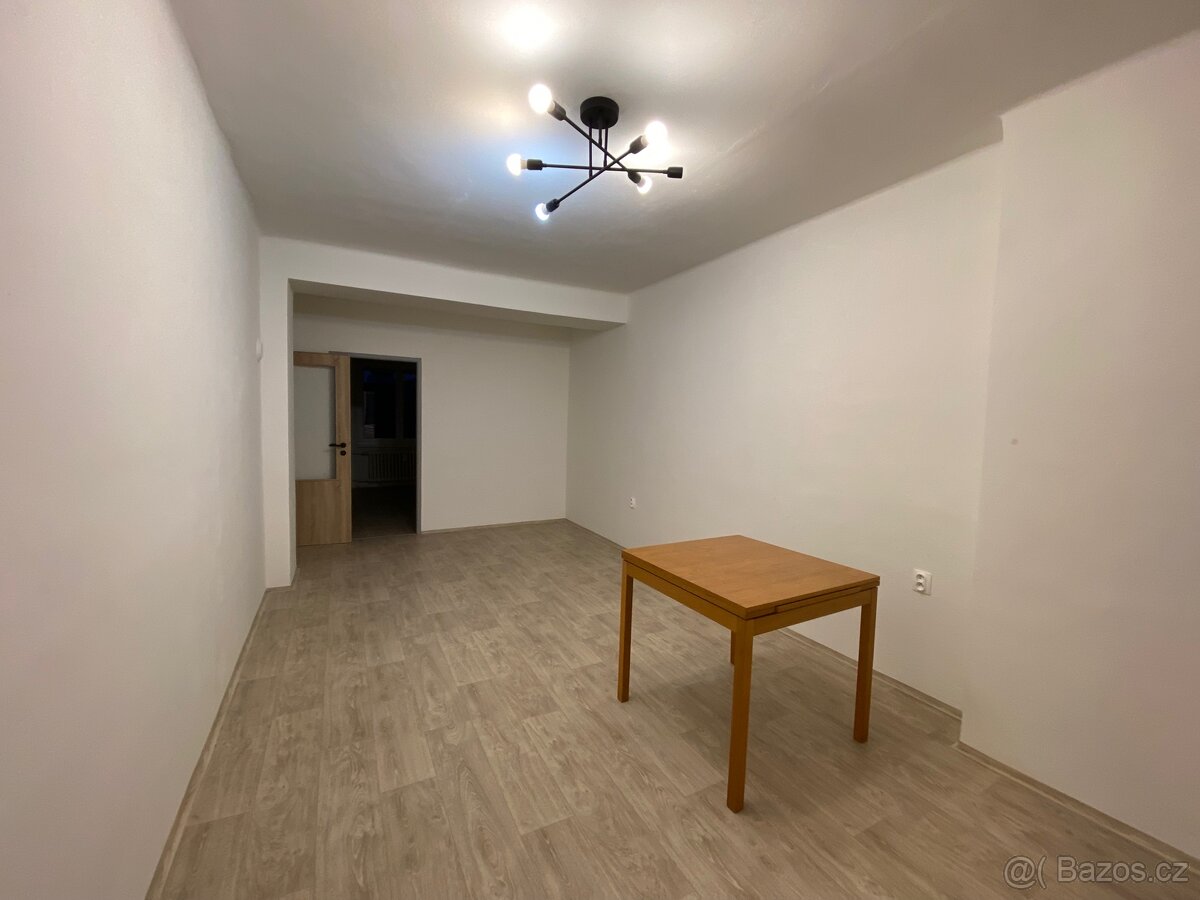 Byt 2+1 blízko centra i přírody - REZERVOVÁNO - 4