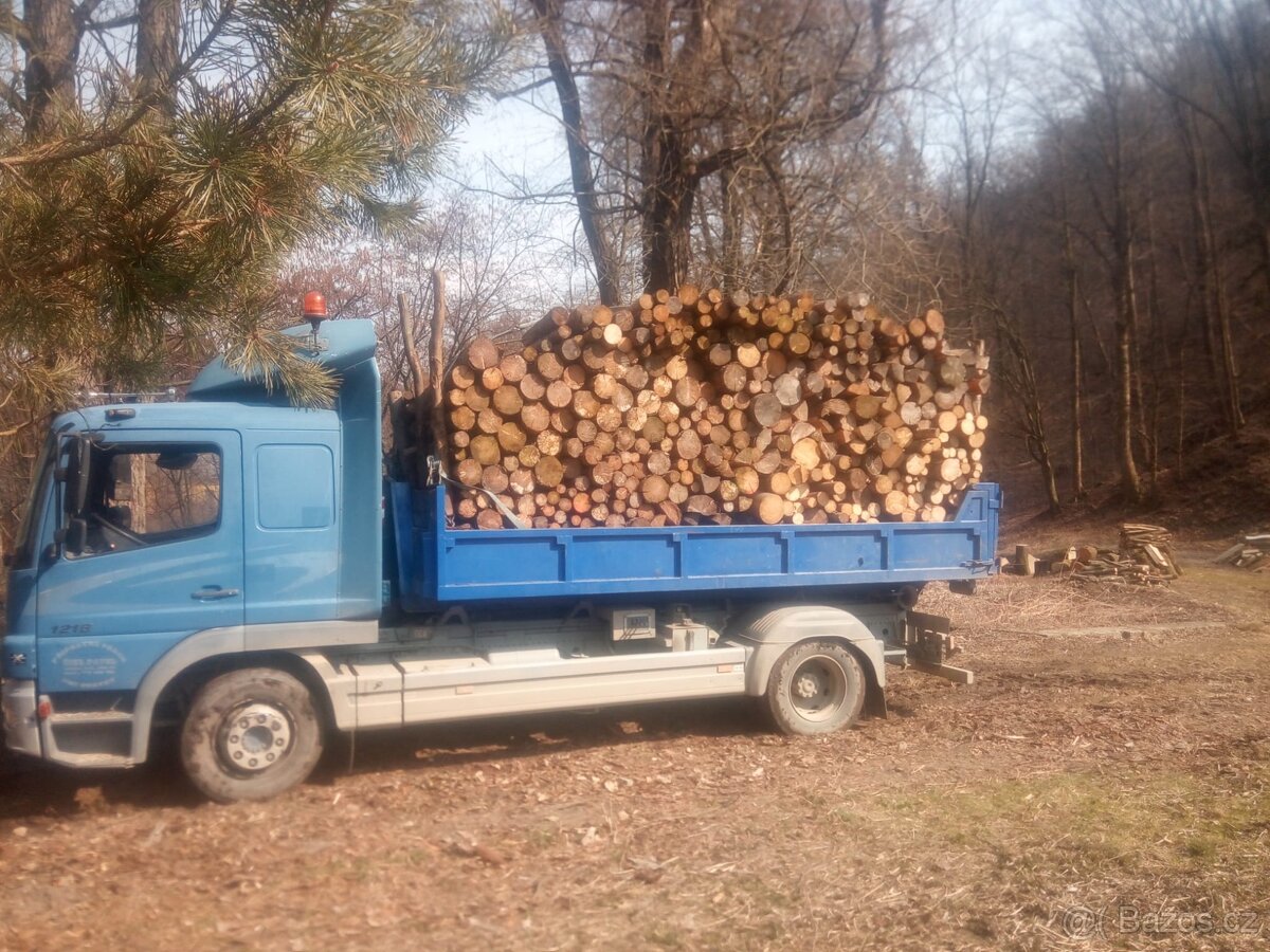 Mercedes-Benz ATEGO 1218 kontejner - 4