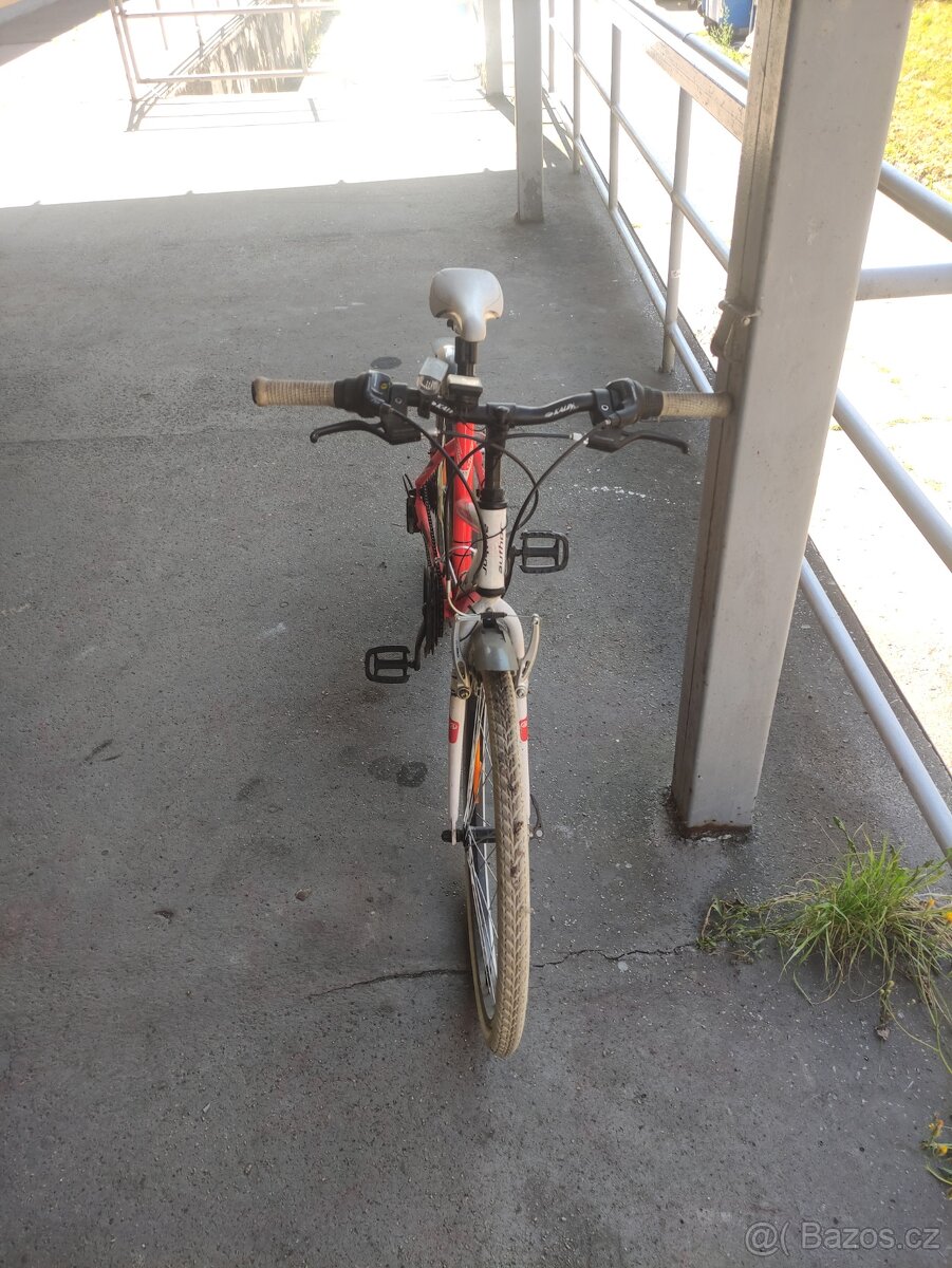 Author Junior Cross 15 - 4