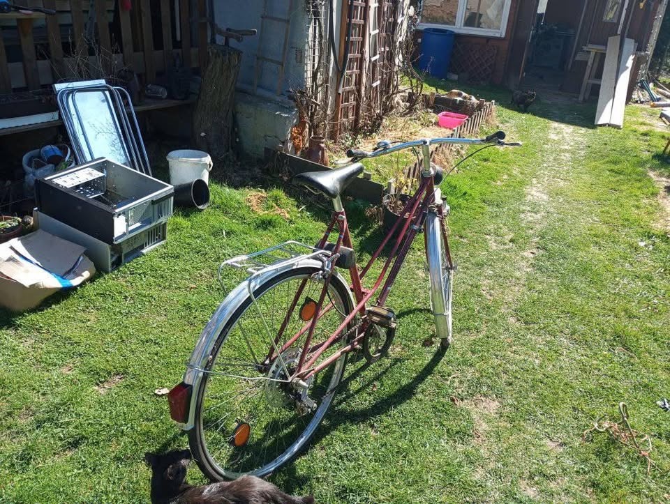 Krásné retro kolo - 4