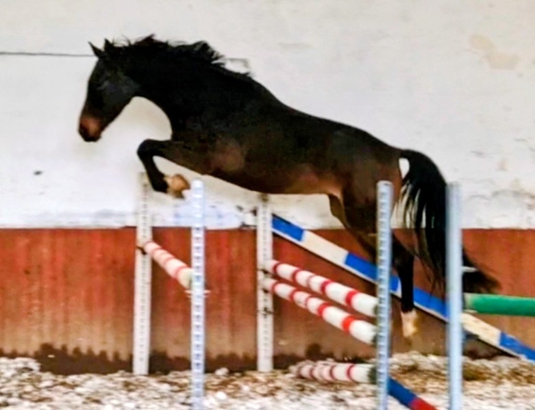 Valach ČT nar.2022 - 4