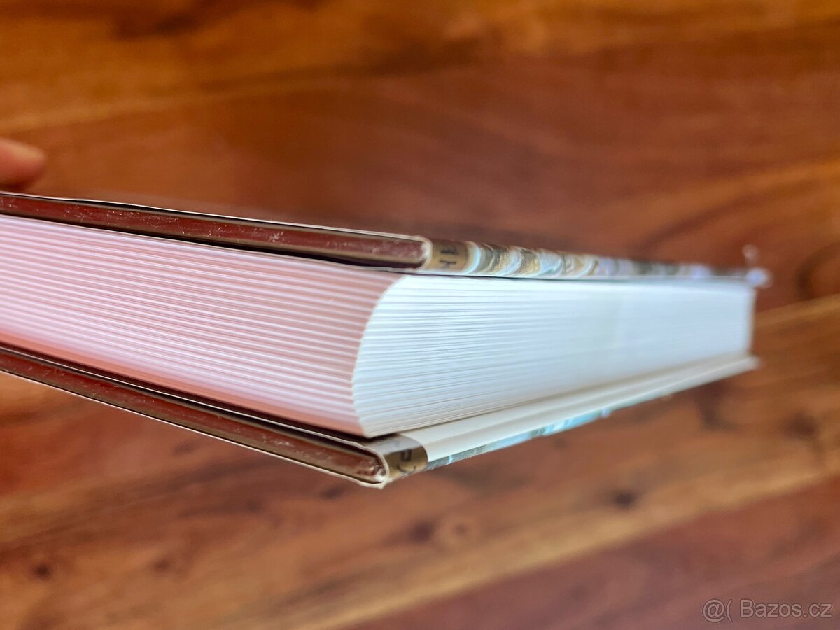 Pán Prsteňov - Dve veže /J.R.R. Tolkien/ - 4