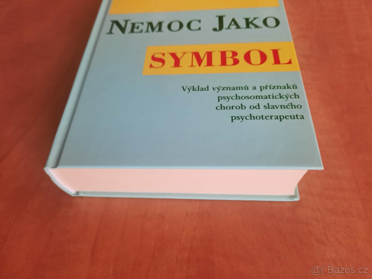 Nemoc jako symbol - 4