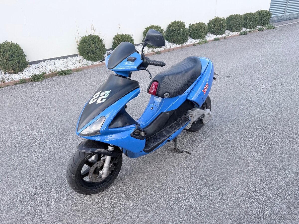 Benelli 491 RR - 4