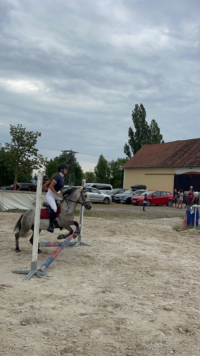 4 letý pony - 4