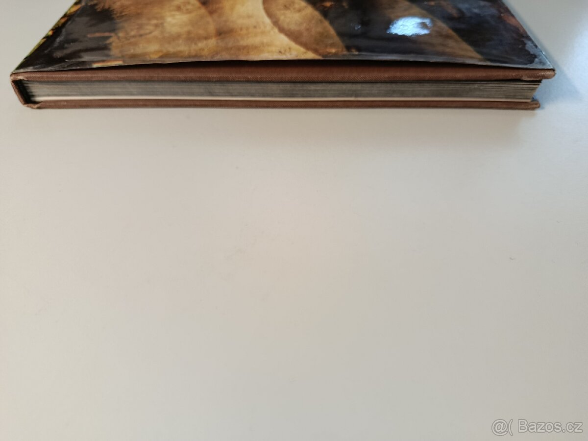 Hora - Milan Rúfus 1978 - 4