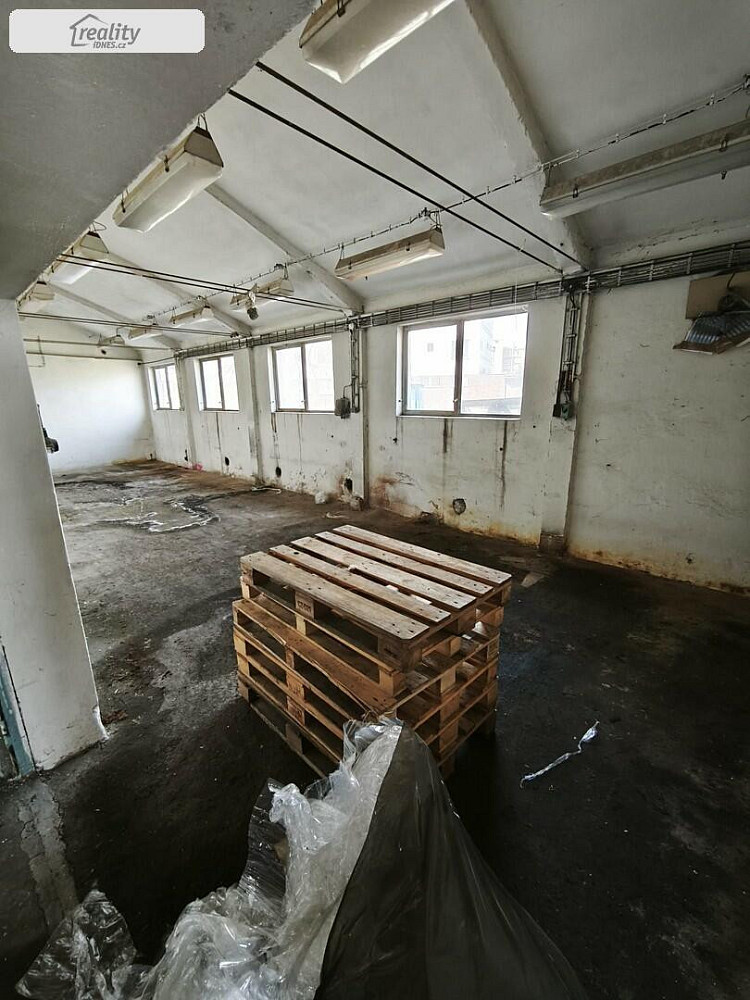 Pronájem, komerční, 233 m, Nádražní, Židlochovice, Česko - 4