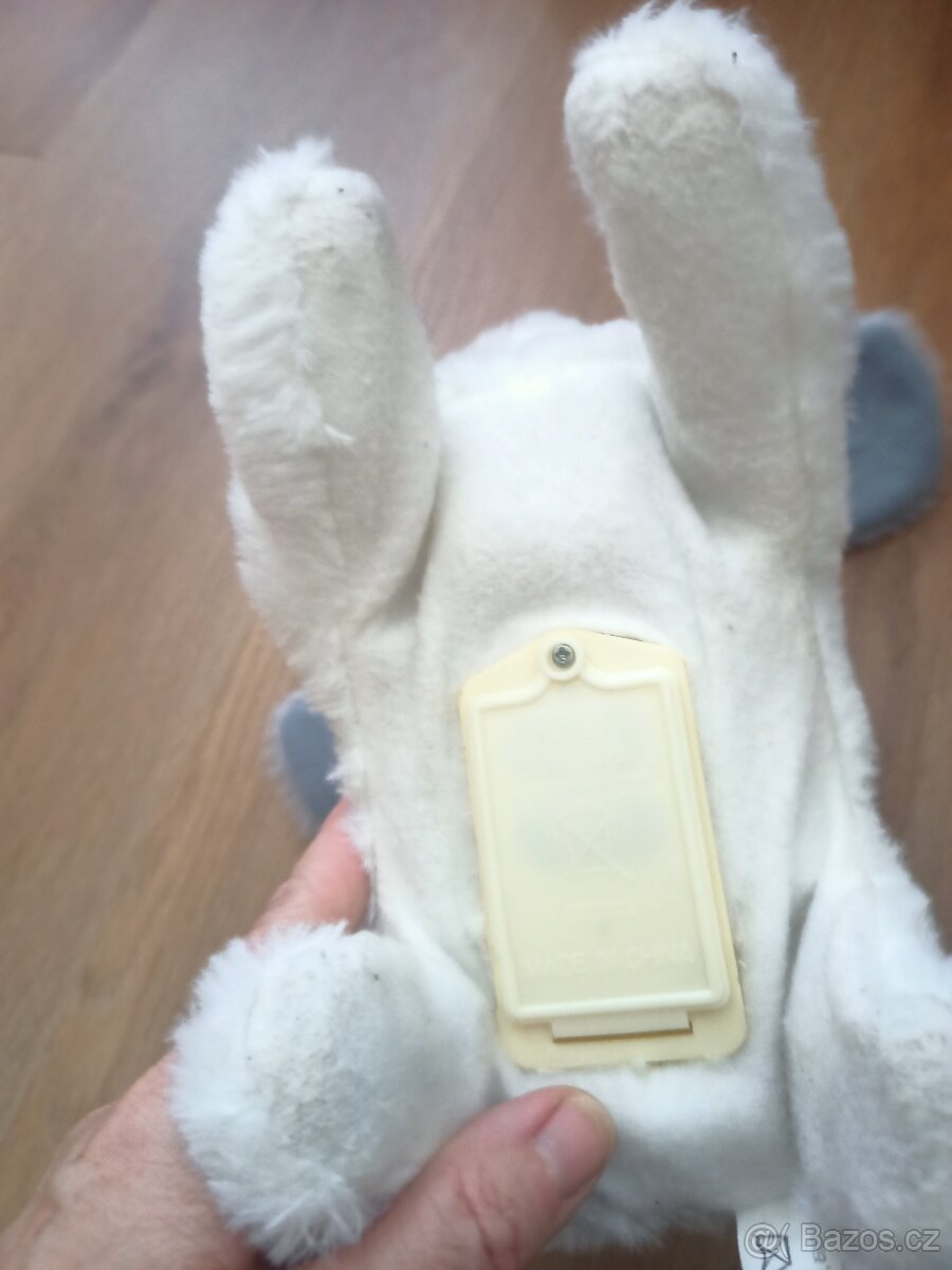 Chodici, stekaci pejsek - 4