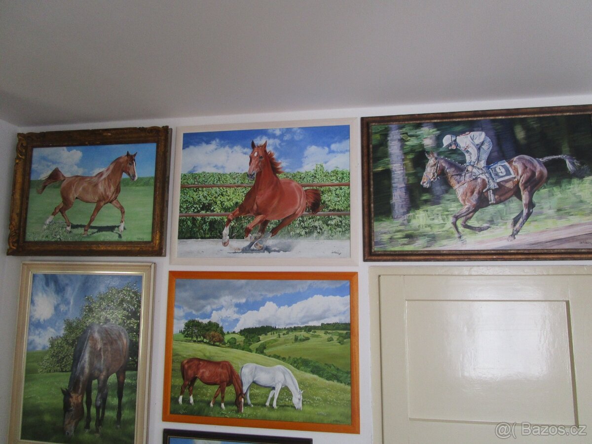 koně-ručně malované obrazy-olejomalba-akvarel - 4