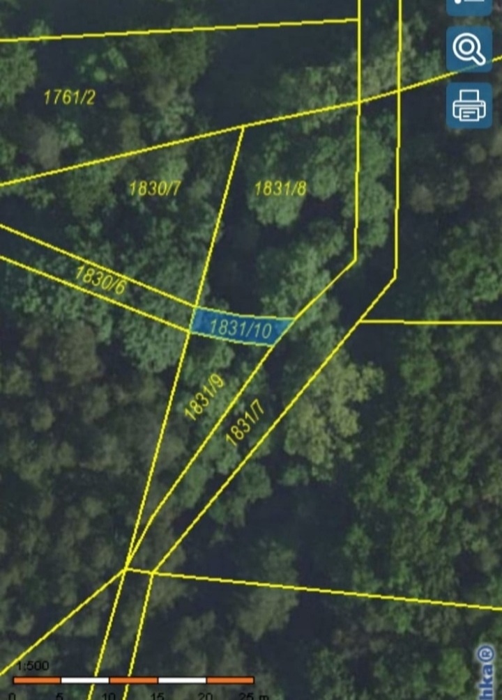 Pronájem pozemku 7404m² Jílové u Prahy - 4