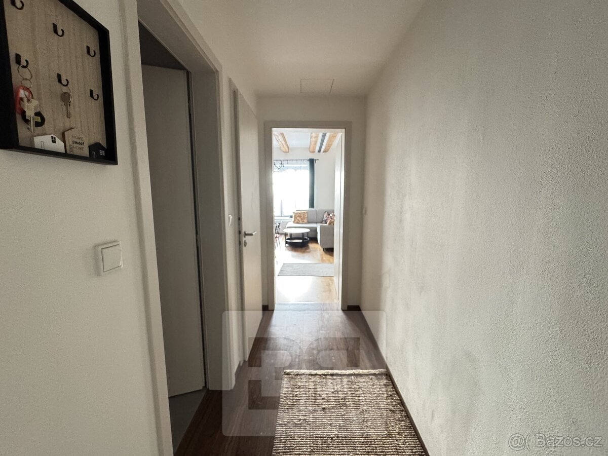 3+kk Apartment in Brno, Veveří - View 4