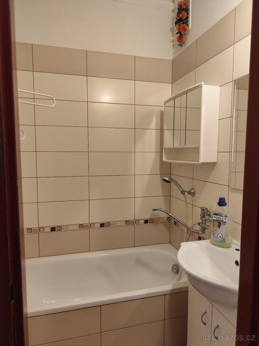 Pronájem bytu 3+1, Tř. Míru, Olomouc - 4