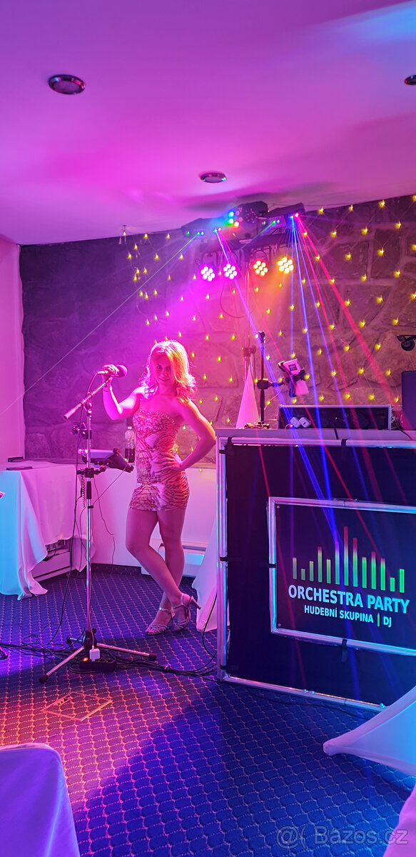 Dj a zpěvačka na svatbu - 4