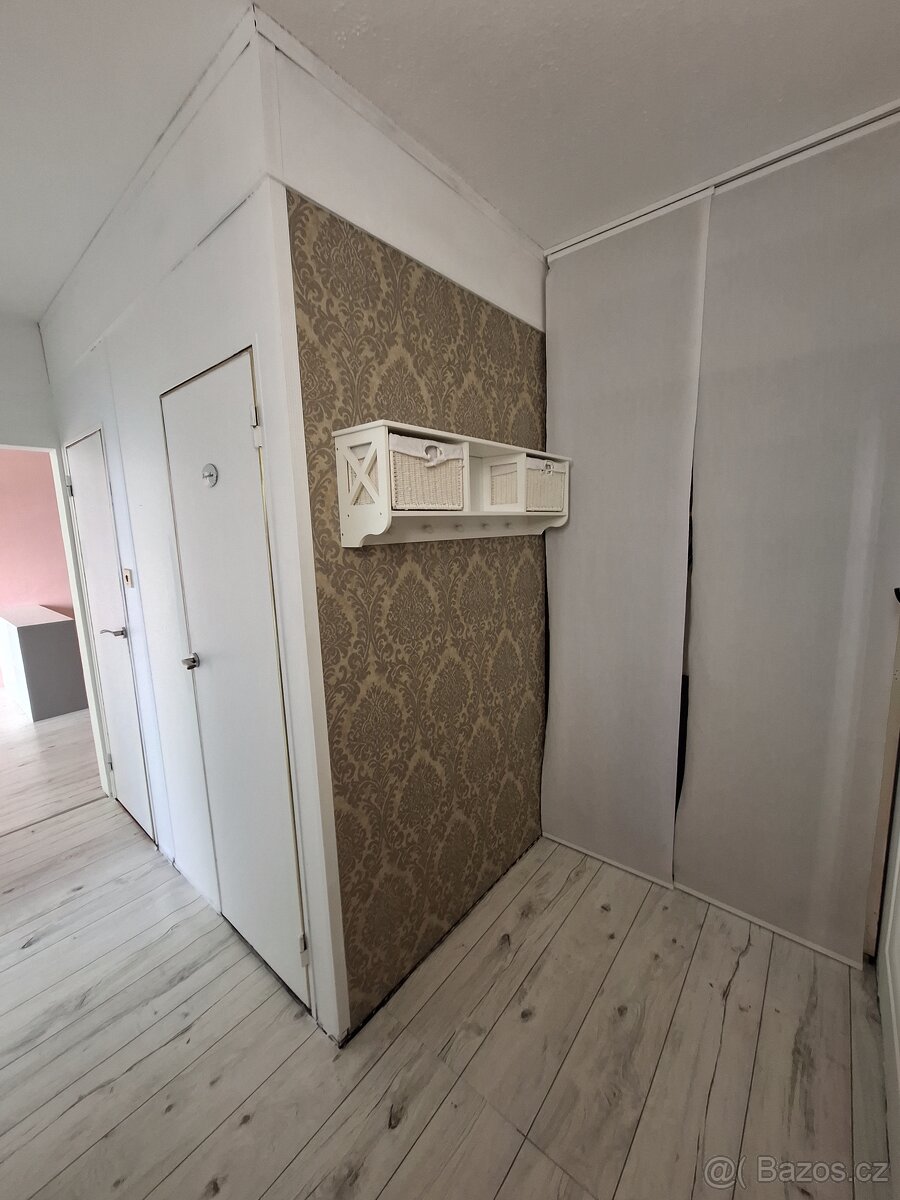 Pronájem 2+0 - 4