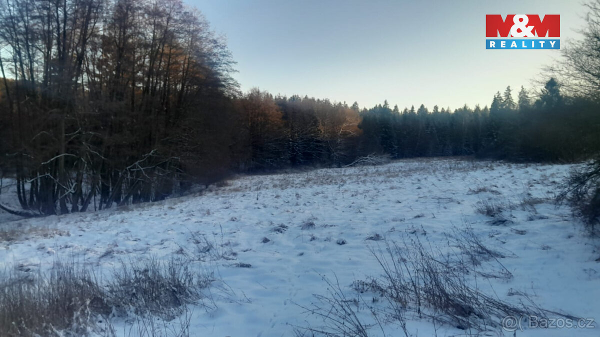 Prodej louky, 19732 m², Oselce - 4