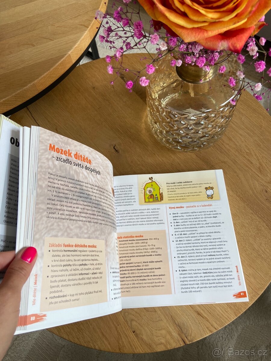 Návod na přežití pro bejby Grada Igor Bukovský - 4