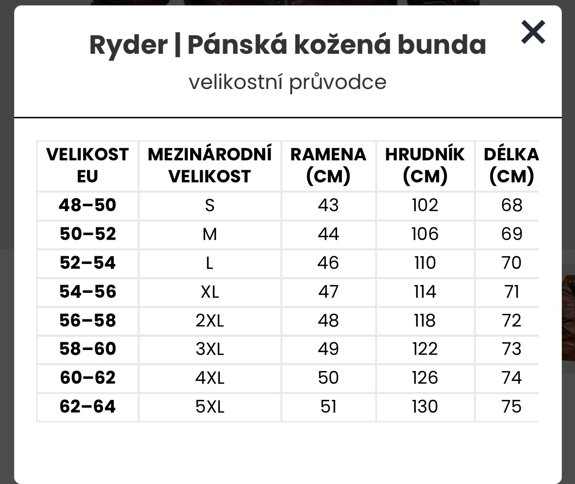 Dvouvrstvá zimní bunda - 4
