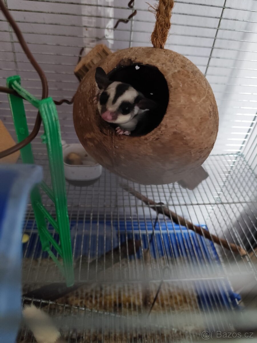 Vakoverka - prodej - 4