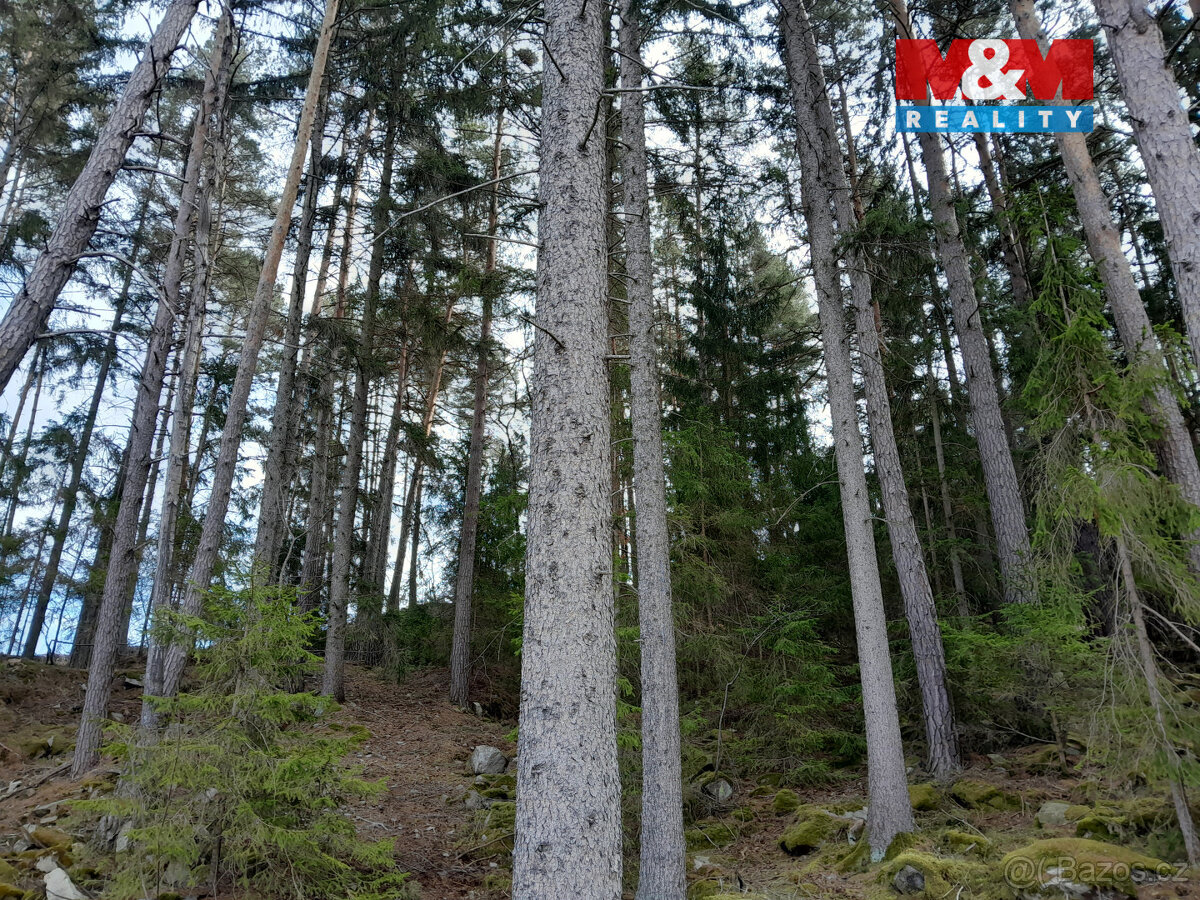 Prodej lesa, 5083 m², Zálezly - Setěchovice - 4