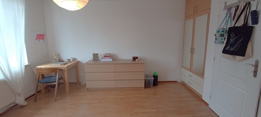 1.lůž. pok. v dívčím 3+1 RD prač/sušička, studentka/ml. pr. - 4