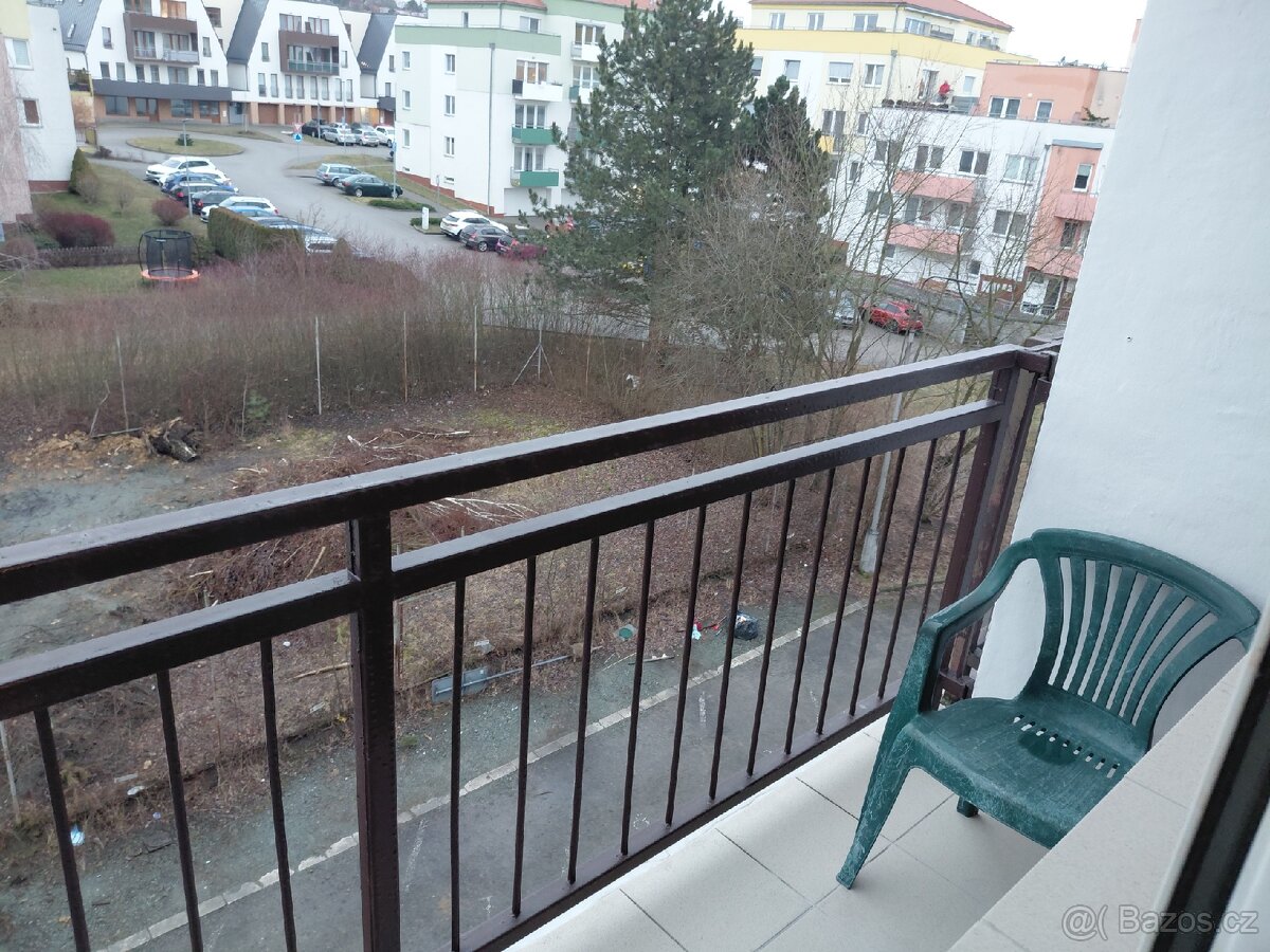 Pronajmu garsonku - 4