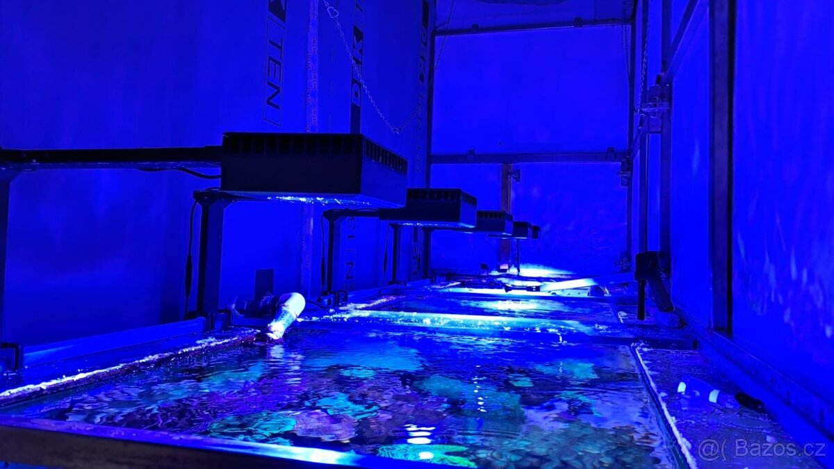 Mořské akvárium - 4