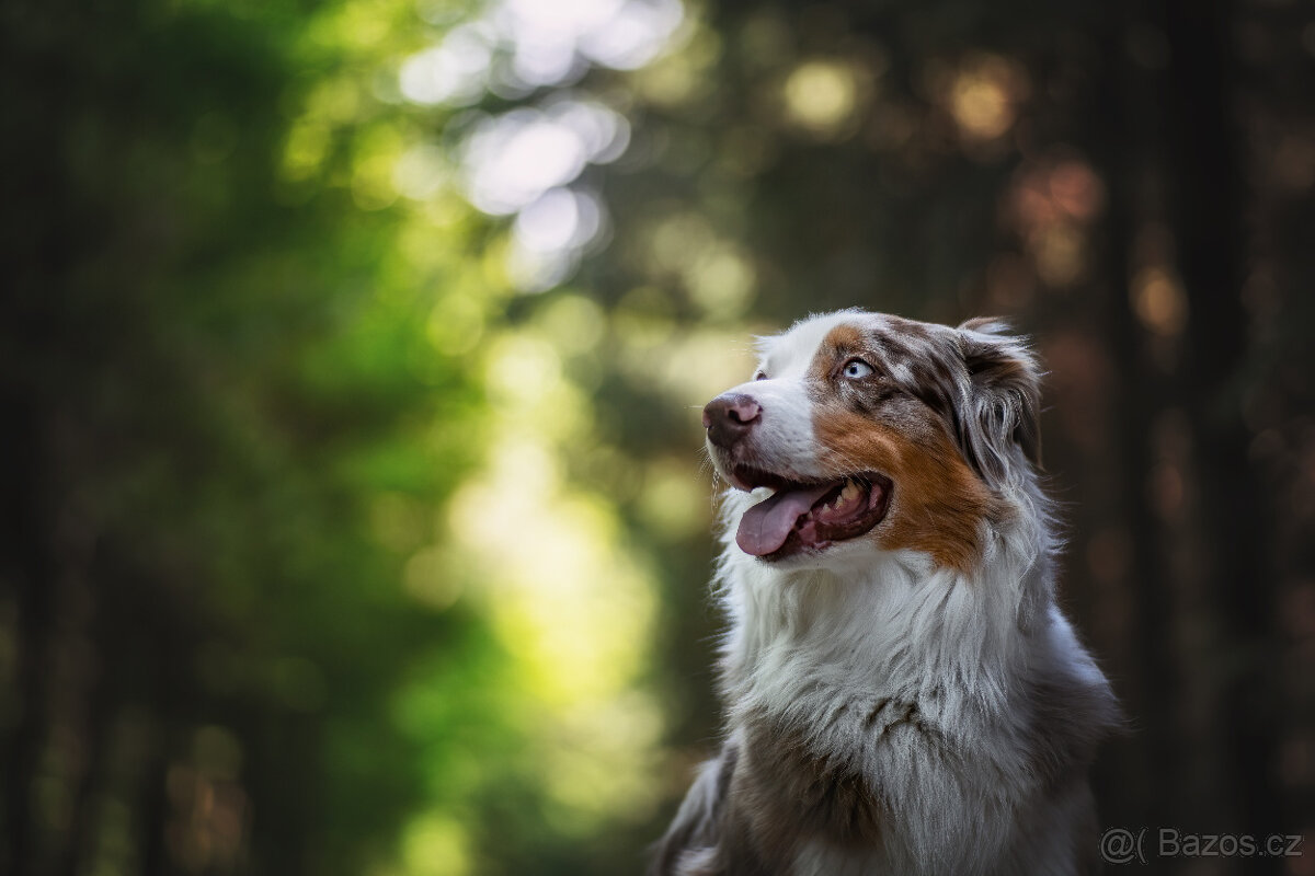 Meopta Meostigmat 77/1,7 Sony E a další - 4