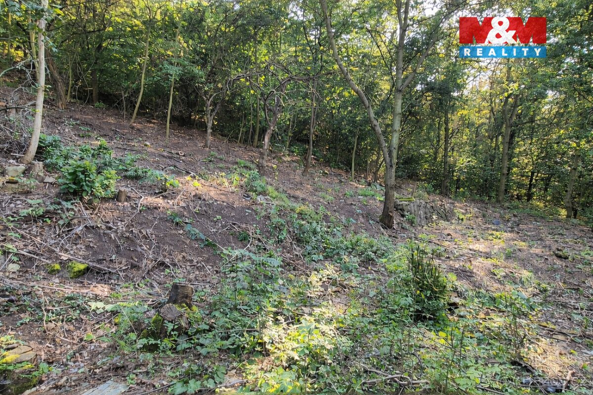 Prodej pozemku k bydlení, 1101 m², Bílina - 4