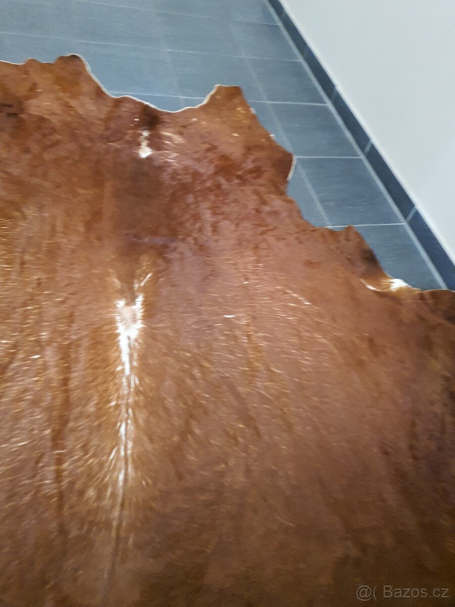 pravá kůže, hovězí kožešina, IKEA, 208cm - 4