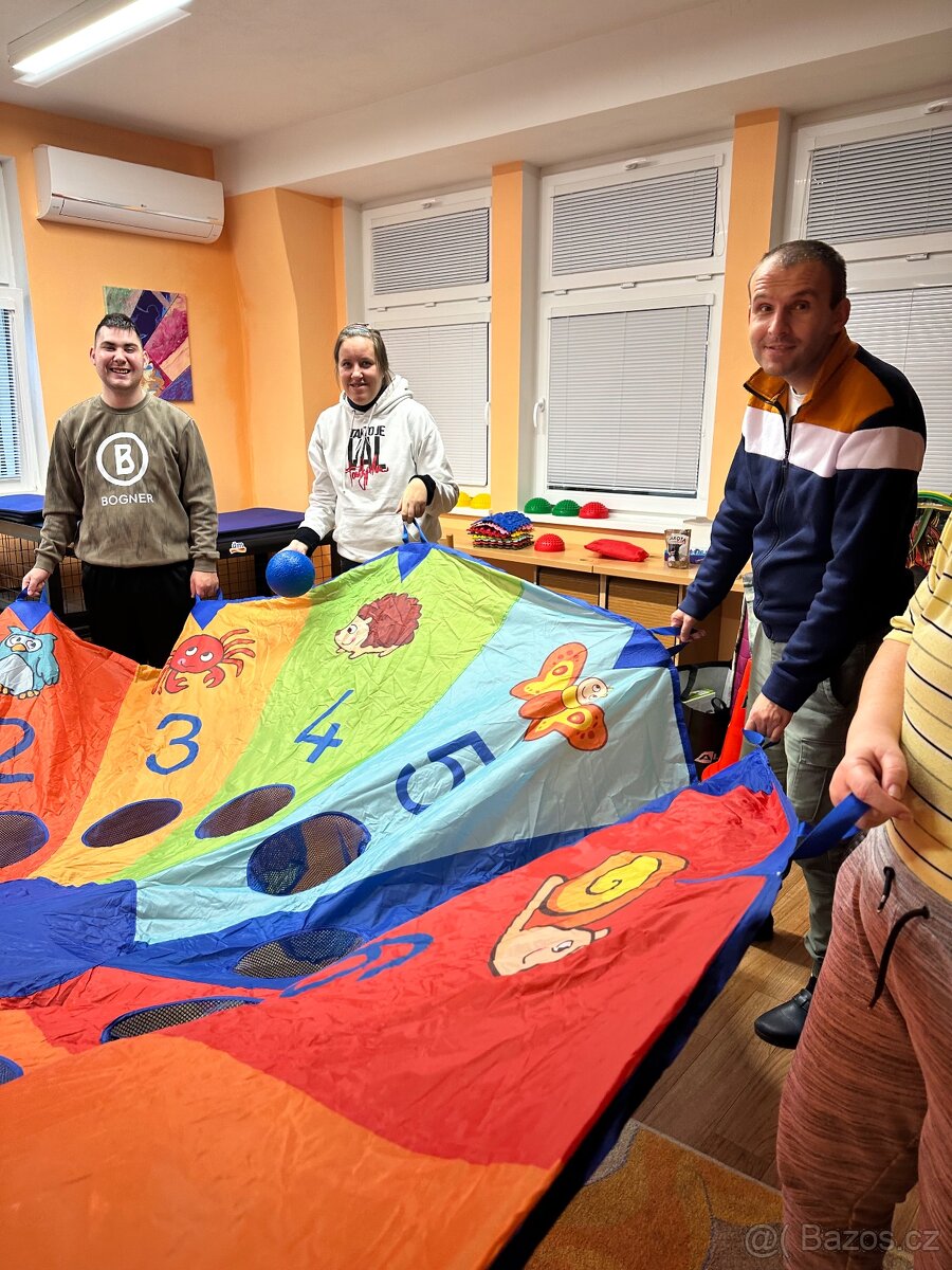 Papillon /krycí pes - 4