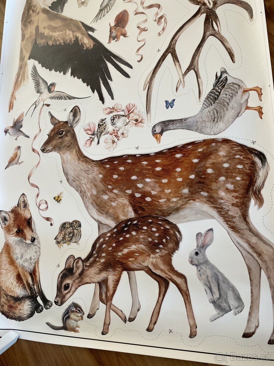 Tapeta do interiéru, nová - 4