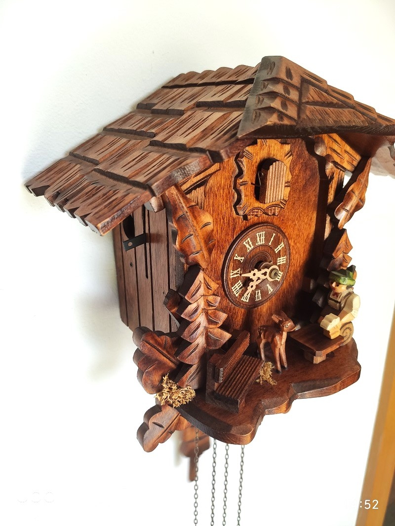 Hezke, kukacky, Schwarzwald - 4